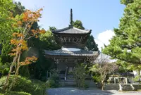 穴太寺の写真・動画_image_49873