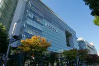 ラシックの写真・動画_image_50341