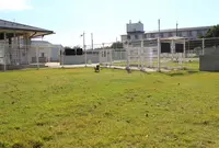 ホテル ビワ ドッグの写真・動画_image_50358