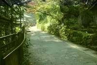 武蔵御嶽神社の写真・動画_image_50756