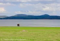 ミネリヤの写真・動画_image_51026