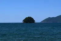 蒼島暖地性植物群落の写真・動画_image_51860