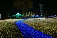 国営木曽三川公園・木曽三川公園センターの写真・動画_image_52537