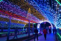 国営木曽三川公園・木曽三川公園センターの写真・動画_image_52539