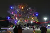 138タワーパークの写真・動画_image_52547