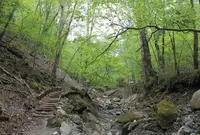 山伏峠付近の写真・動画_image_52762