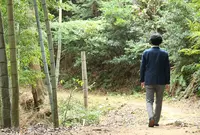 妙青寺の写真・動画_image_52806