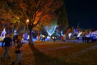 大垣公園の写真・動画_image_53213