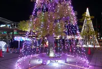 大垣公園の写真・動画_image_53219