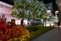 名古屋駅の写真・動画_image_53280