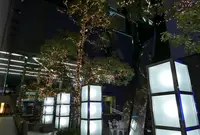 広小路通の写真・動画_image_53294