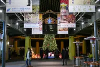 オアシスパークの写真・動画_image_54144