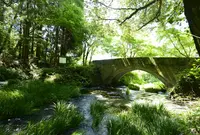 やまなみの写真・動画_image_57385