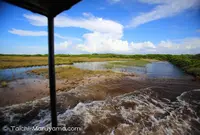 Parque Nacional dos Lençóis Maranhensesの写真・動画_image_57578