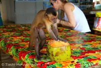 Parque Nacional dos Lençóis Maranhensesの写真・動画_image_57585