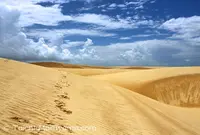 Parque Nacional dos Lençóis Maranhensesの写真・動画_image_57586