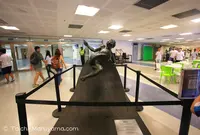 マラカナン競技場の写真・動画_image_57589