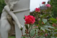 Muséum national d'Histoire naturelle（国立自然史博物館）の写真・動画_image_57920