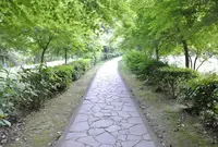 武雄神社（武雄五社大明神）の写真・動画_image_58161
