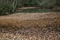 都立野山北・六道山公園 里山民家の写真・動画_image_61706