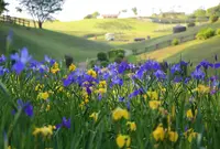 NEMU HOTEL & RESORTの写真・動画_image_63136