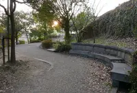橿森公園の写真・動画_image_66277