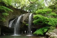 袋田の滝の写真・動画_image_69049