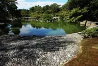 仙洞御所の写真・動画_image_71548