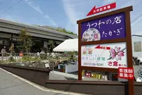 市之倉陶祖祭の写真・動画_image_71663