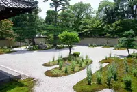 廬山寺の写真・動画_image_71981