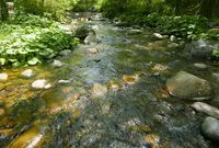 木曽川水園の写真・動画_image_75066