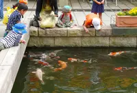 オアシスパークの写真・動画_image_75083