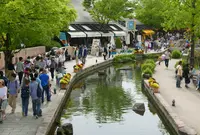 オアシスパークの写真・動画_image_75084