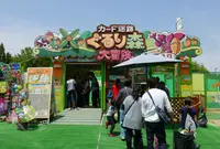オアシスパークの写真・動画_image_75089