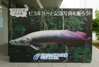 アクア・トトぎふの写真・動画_image_75090