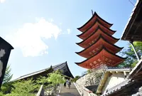 宮島町の写真・動画_image_76115