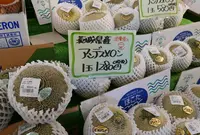 道の駅　可児ッテの写真・動画_image_78668