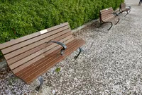 桜の名所の写真・動画_image_79957