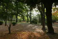 鶴舞公園の写真・動画_image_79963
