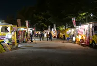 桜の名所の写真・動画_image_79965