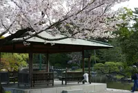 鶴舞公園の写真・動画_image_79970