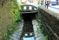 興福寺の写真・動画_image_91539