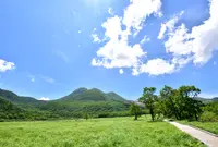 タデ原湿原の写真・動画_image_1071734