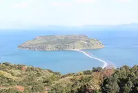 知林ケ島の写真・動画_image_1071769
