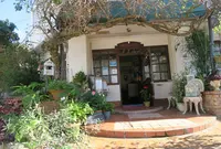 ぶどうの木の写真・動画_image_1077213