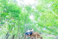 美山町観光協会の写真・動画_image_1079778
