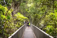 Mossman River Lookoutの写真・動画_image_1146497