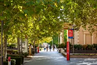 North Terraceの写真・動画_image_1177621