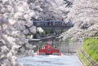 松川茶屋(遊覧船のりば)の写真・動画_image_1177799