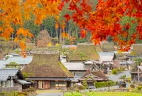 美山かやぶきの里の写真・動画_image_1180376